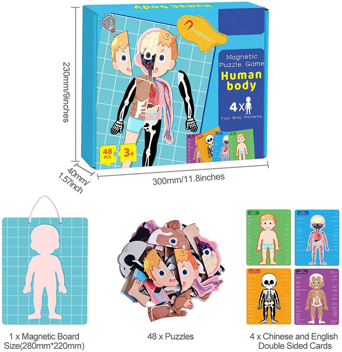 48pcs 교육용 자기 인체 3살 유아용 퍼즐 장난감 0